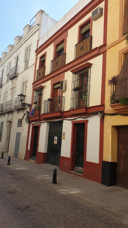 Precioso Apartamento Con Terraza Compartida Apartment
